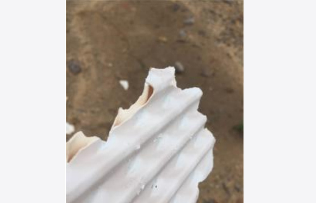 瑞普特海晶盐化用板式换热器