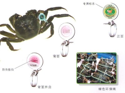 阳澄湖蟹扣
