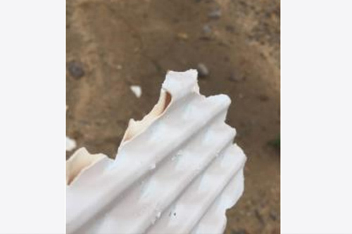 瑞普特盐化板式换热器